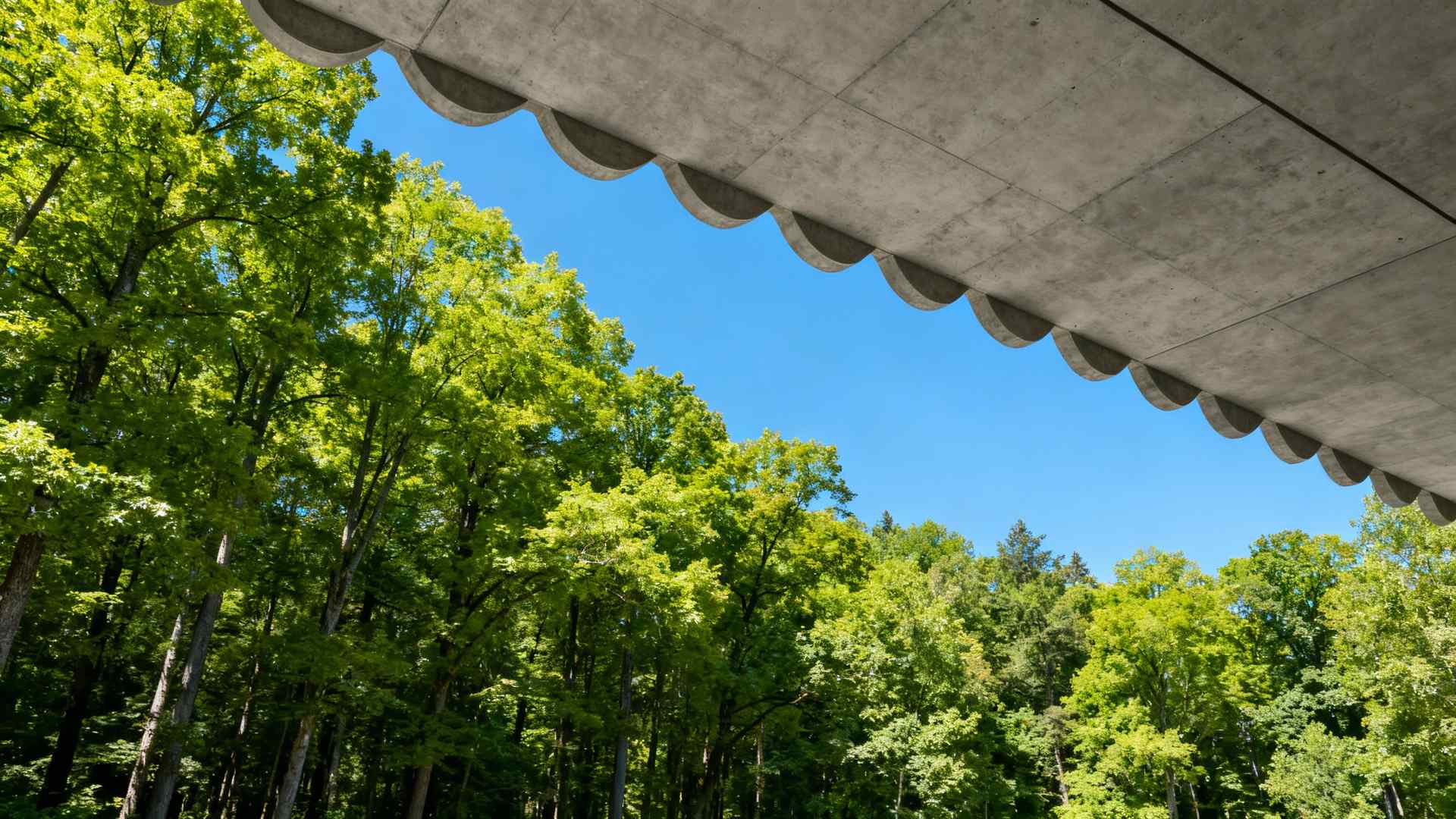 3 dormitorios en Santa Pau - 0